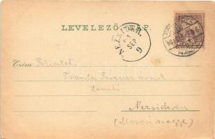 1901 Pancsova, Pancevo; Ráday utca, Polgári és felső kereskedelmi iskola, Stimler Otto, Nádor üzlete...