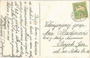 Kamanc, Kamenitz, Sremska Kamenica (Újvidék, Novi Sad); látkép, "SOPHIE" gőzhajó / general...