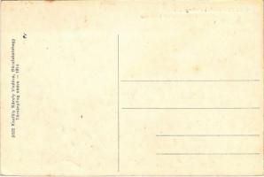 Bácsfeketehegy, Feketic; Gróf Széchenyi utca, Welker és Hoffmann féle gőzmalom. Knefély Károly kiadá...