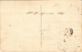 Csurog, Curug; Tisza részlet. Pankovits Gy. Lázár kiadása / river (felületi sérülés / surface damage...