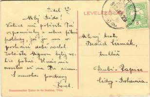 1913 Titel, Tisza részlet, gőzhajó. Nonnenmacher Endre és fia kiadása / riverside, steamship (r)