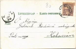 1901 Alsómiholjác, Unter-Miholtz, Donji Miholjac; Volksschule, Gräfl. Mailath'sche Beamtenhäuse...