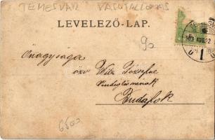 1903 Temesvár, Timisoara; Dalünnepély, vasútállomás / song festival, crowd, railway station. Uránia ...