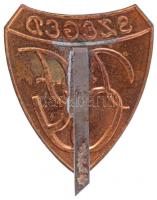 DN "Szeged PFGY" festett Br iskolai kitűző T:2