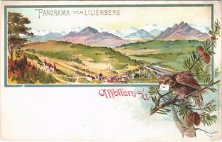 Affoltern am Albis, Panorama vom Lilienberg. Art Nouveau, litho