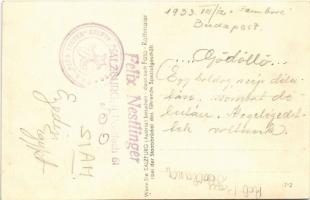 1933 Salzburg, Ö.P.B. "Papa Teuber" Gruppe / Austrian scout group. Felix Nestlinger