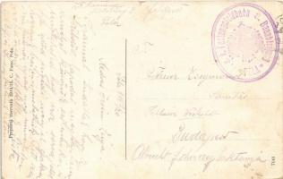 1914 Pola, Pula; K.u.K. Kriegsmarine Kriegshafen / Osztrák-magyar haditengerészeti kikötő hajókkal /...