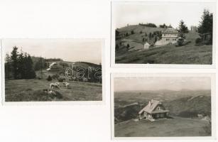 Javorníky, Portás turista szálló / hotel - 3 db régi használatlan képeslap / pre-1945 unused postcards