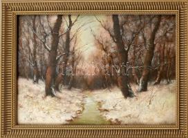 V. Tóth László (1930-2001): Téli erdő. Olaj, karton. Jelzett. Üvegezett fa keretben, 25×35 cm. Jóték...