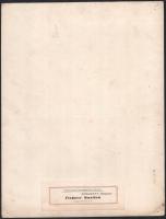 cca 1930 Halászbástya matricával jelzett idegenforgalmi fotó, kis saroktörés 22x29 cm