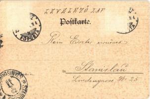 1899 (Vorläufer) Im Ballsaal / Szecessziós tánc, hölgy / Art Nouveau, lady, litho (Rb)