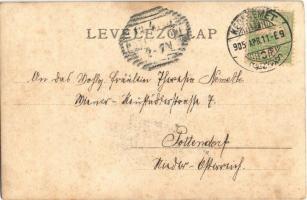 1905 Kecskemét, Római katolikus egyház bérháza, Biró Nővérek üzlete. Galánthai Fekete Mihály kiadása...