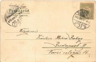 1903 Art Nouveau floral lady. Erika Nr. 1122. litho s: Raphael Kirchner (fa)