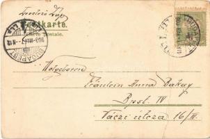 1903 Art Nouveau floral lady. Erika Nr. 1121. litho s: Raphael Kirchner (fa)