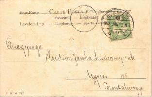 1903 Art Nouveau lady. B.R.W. 377. litho, unsigned Raphael Kirchner (?) (fl)