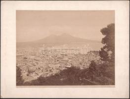 cca 1860-1890 Nápoly, a Villa Tolentino látképe; az Edizioni Brogi-sorozat 5691. számú darabja, 25×19,5 cm, kopott, sérült.