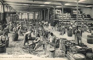 Moet et Chandon preparation for grape harvest