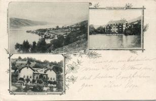 1898 Millstatt