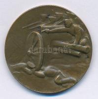 Osztrák-Magyar Monarchia 1915. "A Krasniki diadalmas csatában az oroszoktól elvett ágyúból vere...