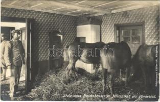 Stube eines Bauernhauses in Mierunsken als Pferdestall. Hofphotograph Kühlewindt / WWI German military, room of a farmhouse used as horse stable in Mieruniszki (Poland) (EK)