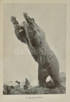 Nadler Herbert: Cserkészeten és lesen Nagymagyarországon. Vadászati elbeszélések. 80 eredeti fénykép...