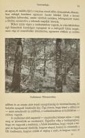Nadler Herbert: Cserkészeten és lesen Nagymagyarországon. Vadászati elbeszélések. 80 eredeti fénykép...