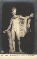 Apollo di Belvedere. Roma, Museo Vaticano / Erotic nude male sculpture