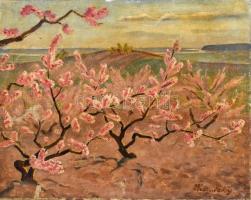 Hranitzky Ilona (1889-?): Tavaszi virágzás. Olaj, vászon, jelzett, sérült, 40×50 cm