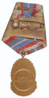 Románia ~1960. "Szocialista Hazáért Érdemérem, I. osztály" Br kitüntetés mellszalagon, ere...