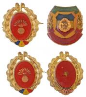 Románia 1968-1989. Hazafias Gárda (Gărzile Patriotice) fegyvernemi jelvények (3x) + Haza védelmének előkészítésében kiemelkedő (EVIDENTIAT IN PREGATIREA PENTRU APARAREA PATRIEI) műgyantás jelvény T:2,2- sérülések Romania 1968-1989. Patriotic Guard (Gărzile Patriotice) military branch badges (3x) + EVIDENTIAT IN PREGATIREA PENTRU APARAREA PATRIEI badge C:XF,VF damages