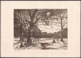 Csikós jelzéssel: Holdfényes táj. Rézkarc, papír, 17,5×23,5 cm