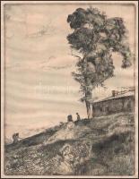 Varga Nándor Lajos (1895 - 1978): Akác a ház mellett. Rézkarc, papír. Jelzett. Foltos. 24x18 cm