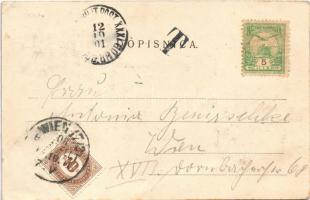 1901 Bród, Nagyrév, Slavonski Brod, Brod na Savi; square, shops, bicycles. Wittve Paul (EK)