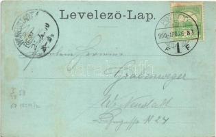 1900 Pozsony, Pressburg, Bratislava; Sétatér. Carl Otto Hayd Kunstanstalt No. 9330. / Promenade (EB)