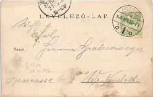 1900 Pozsony, Pressburg, Bratislava; Mária Terézia királyné szobra, magyar zászló / street view, sta...