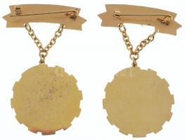 ~1970. "Kiváló Termelőszövetkezeti Dolgozó" aranyozott, műgyantás kitüntető jelvény (2x) T...