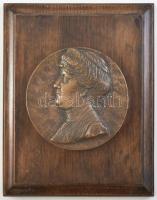 Bronz plakett d:13, fa alapon 25x20cm, ismeretlen hölgy portréja.