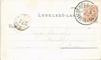 1899 Győr, Széchenyi tér, üzletek, ünnepség, tömeg. Kiadja Berecz Viktor 3588. Art Nouveau, floral, ...