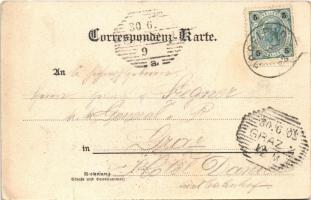 1903 Mantscha bei Graz (Steiermark), Joh. Bapt. Zeller'sche Sommerfrische / holiday resort, hot...