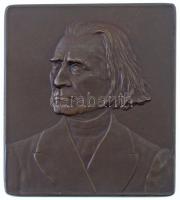 Ausztria 1911. Liszt Ferenc születésének 100. évfordulójára Br plakett. Szign.: Rudolf Neuberger (61x54mm) T:2 Austria 1911. 100th Annviersary of the Birth of Franz Liszt Br plaque. FRANZ LISZT 22. OKTOBER 1811-1911 Sign.: Rudolf Neuberger (61x54mm) C:XF