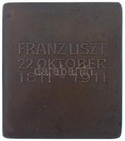 Ausztria 1911. "Liszt Ferenc születésének 100. évfordulójára" Br plakett. Szign.: Rudolf N...