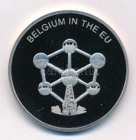 Máltai Lovagrend 2004. 100L Cu-Ni Belgium az EU-ban T:PP  Sovereign Order of Malta 2004. 100 Liras Cu-Ni Belgium in the EU C:PP