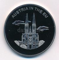 Máltai Lovagrend 2004. 100L Cu-Ni Ausztria az EU-ban T:PP  Sovereign Order of Malta 2004. 100 Liras Cu-Ni Austria in the EU C:PP