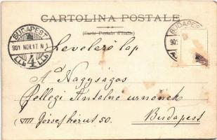 1901 Venezia, Venice; Il Canal Regio o Cannaregio visto dal Ponte omonimo / canal, boats (r)