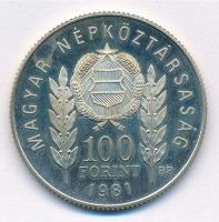 1981. 100Ft Cu-Ni-Zn "Bulgária 1300 éves" magyar kiadás T:1 (eredetileg PP) fo.
Adamo EM6...