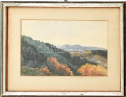 Doleviczény László (?-?): Hegyvidéki táj. Akvarell, papír. Jelzett. Üvegezett fa keretben. 25×15 cm.