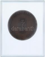 1967. "Budapest / SZOT 1967 - IV. Nemzetközi Munkavédelmi Filmfesztivál" Br emlékérem (55m...