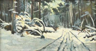 Jelzés nélkül: Erdő télen. Olaj, falemez. Kissé sérült fa keretben, 16×30 cm