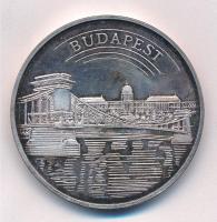 2000. Budapest kétoldalas ezüstözött fém naptárérem (42.5mm) T:1 (eredetileg PP) patina