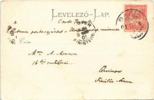 1901 Blaha Lujza és Lányi Géza. Strelisky felvétele